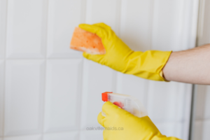 Oakville Maids Cleaning Services